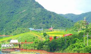 深圳東部華僑城“茶溪谷”濕地公園景觀浮橋