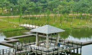 廣州南沙大角山景觀浮橋