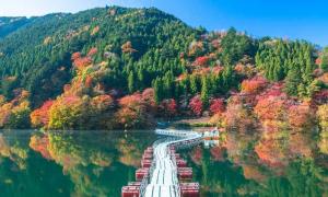 秋日私語，踏上這座浮橋，盡享湖光山色